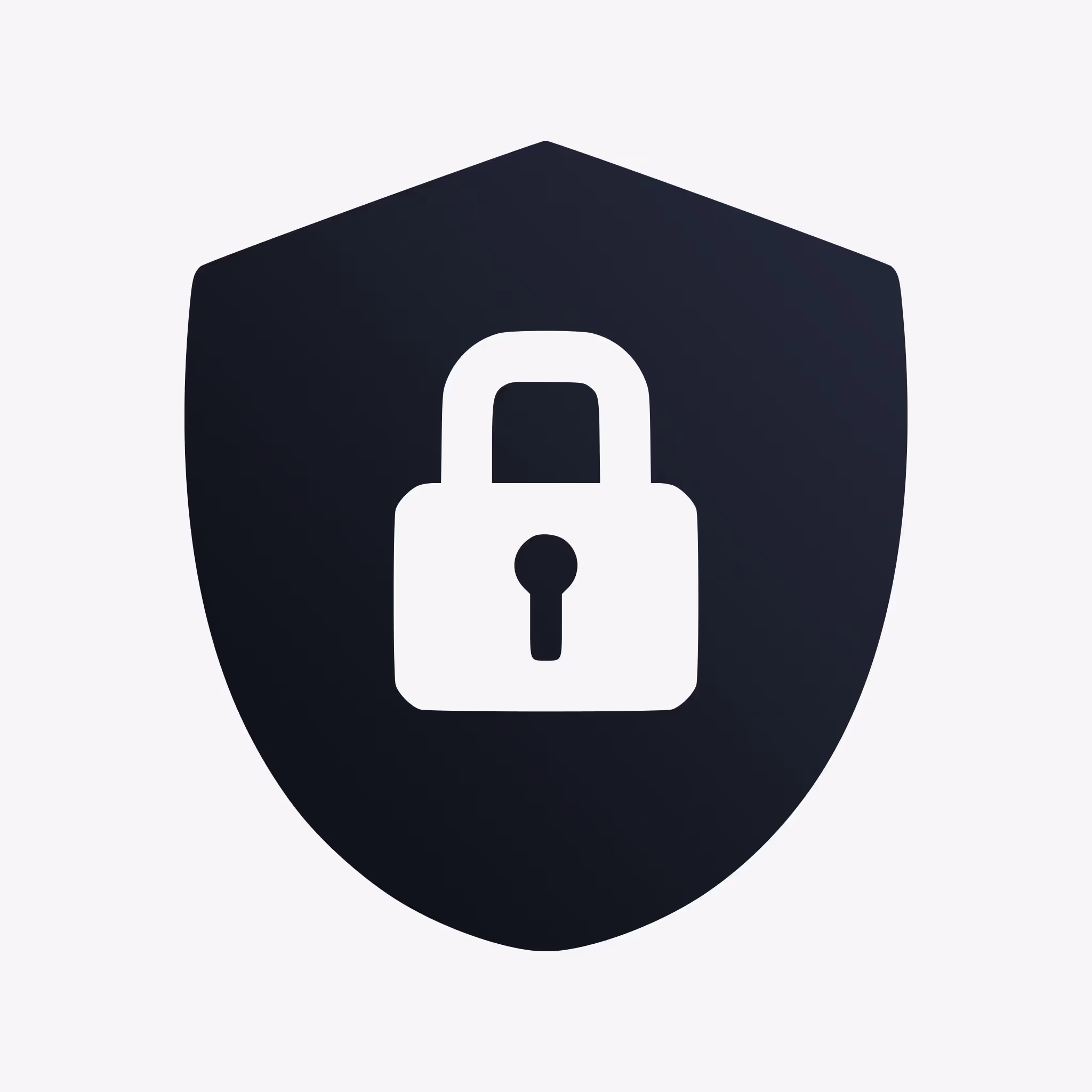White padlock icon on a dark shield background symbolising security.